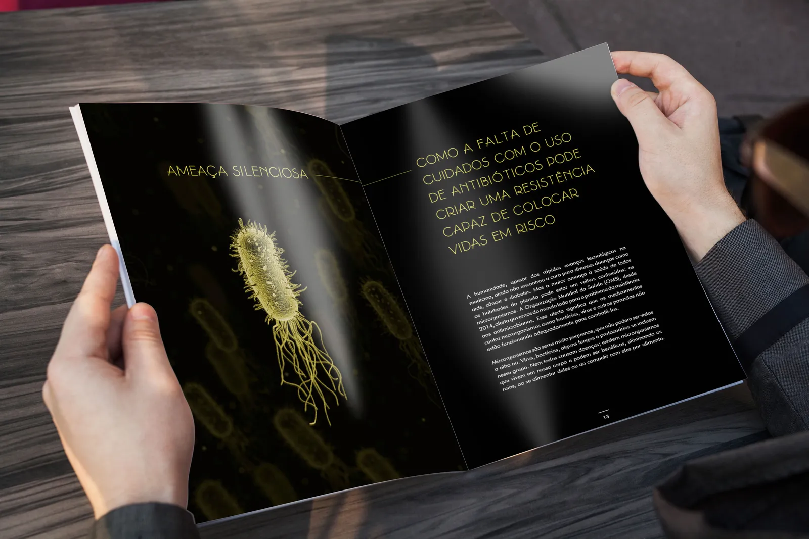 Revista-2