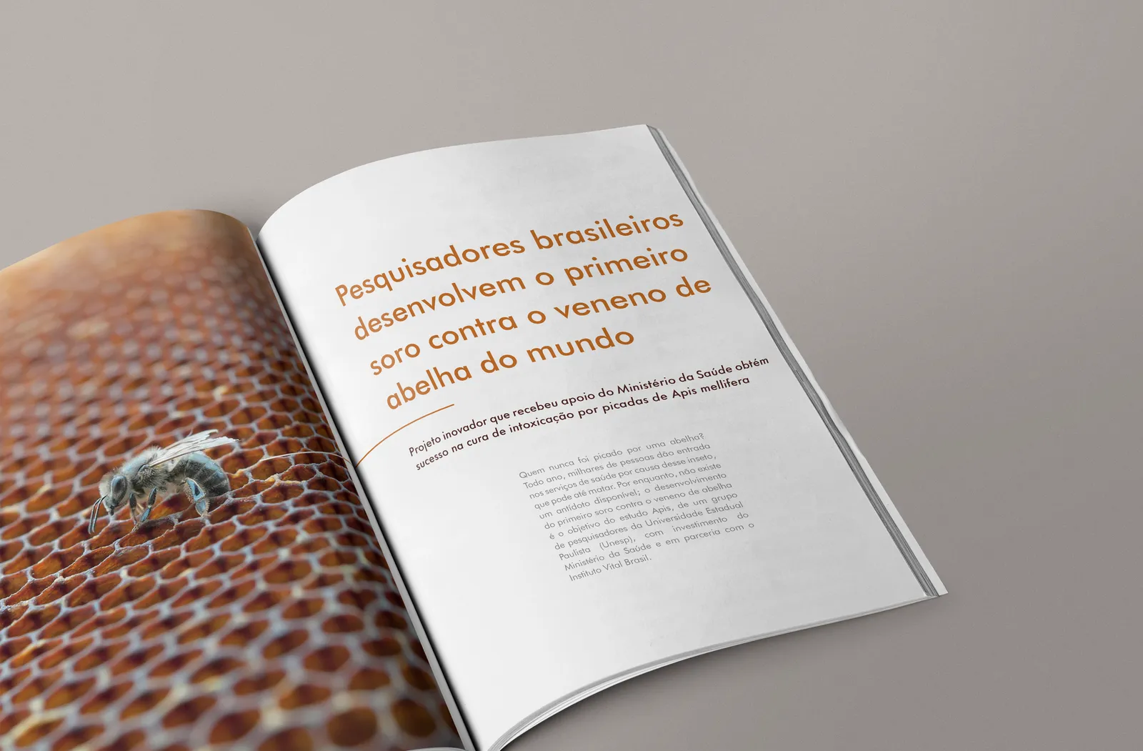 Revista CiênciaSUS 11