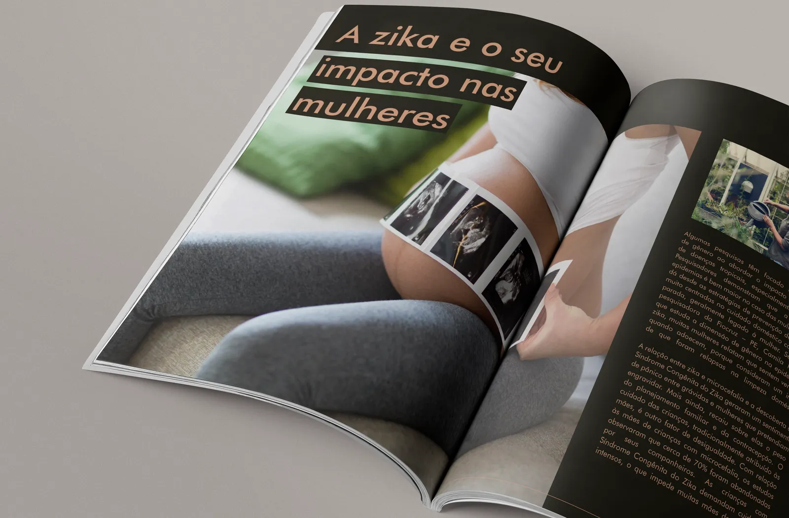 Revista CiênciaSUS 12
