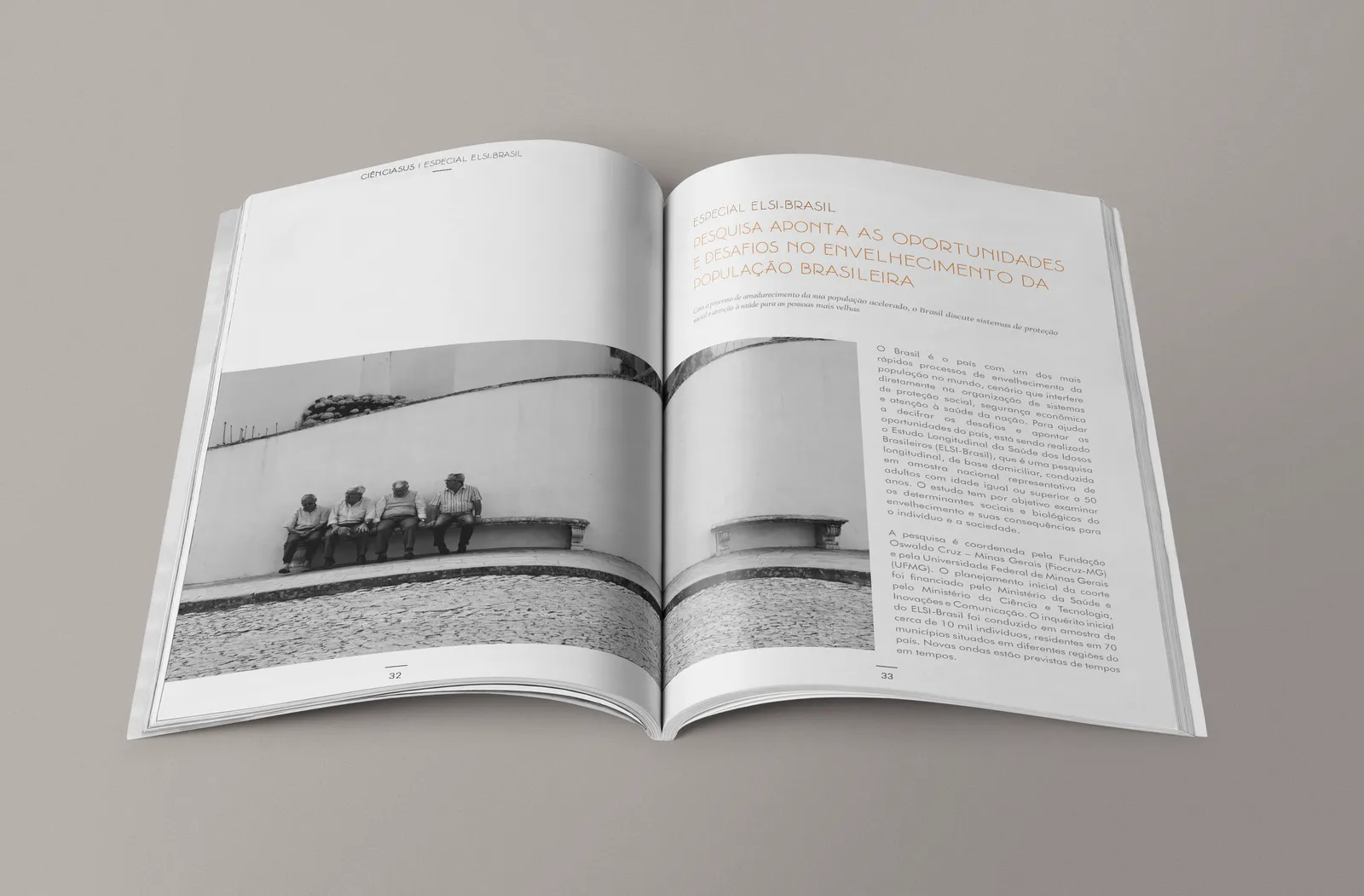 Revista CiênciaSUS 17