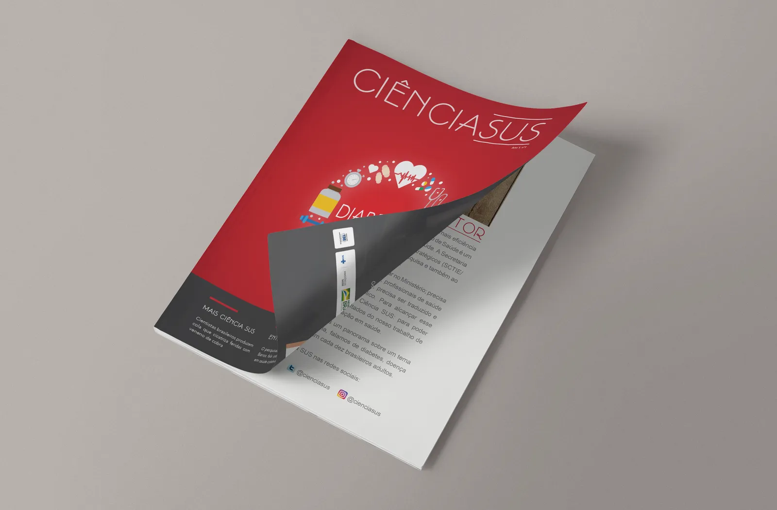 Revista CiênciaSUS 3 7