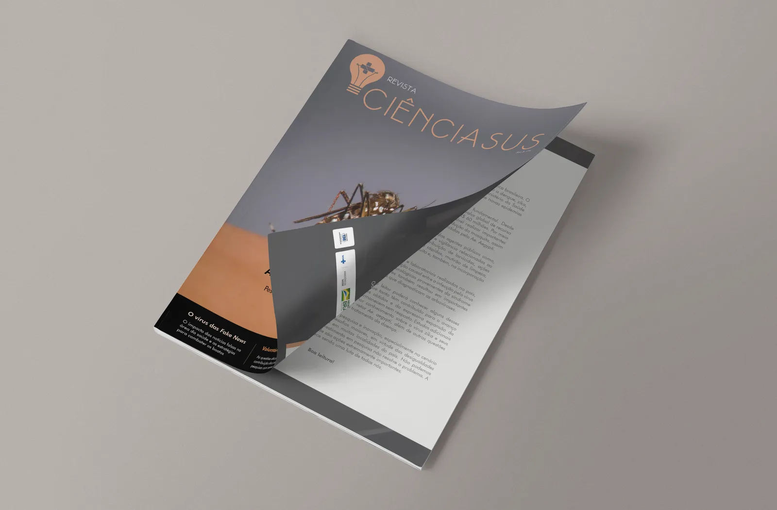 Revista CiênciaSUS 6