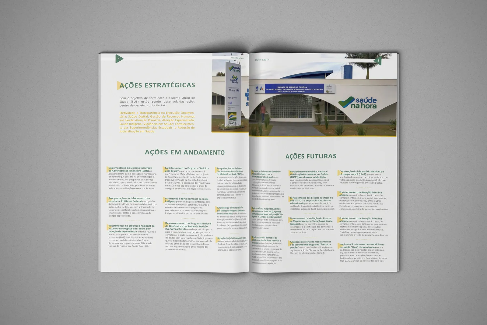 Relatório de gestão Ministério da Saúde 2